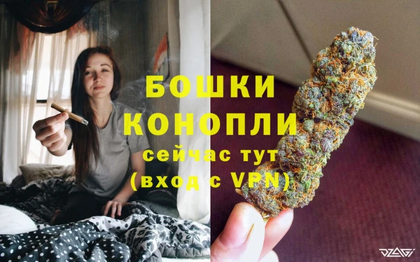 ешки Нея