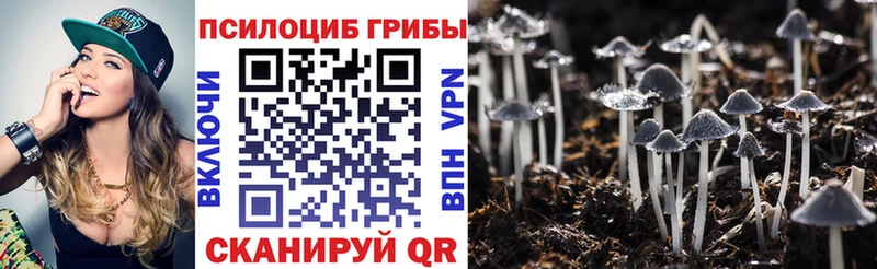 Псилоцибиновые грибы мухоморы  Кириллов 