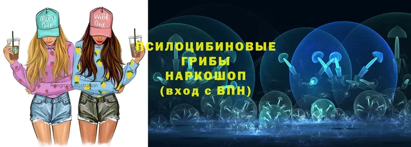 закладки  Кириллов  Галлюциногенные грибы Magic Shrooms 